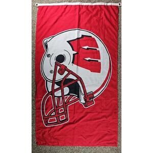 Wincraft Sports Flag Wisconsin Badgers Helmet